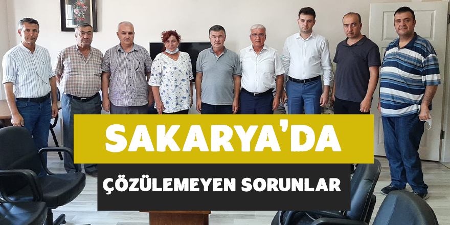 Sakarya'nın Çözülemeyen Sorunları