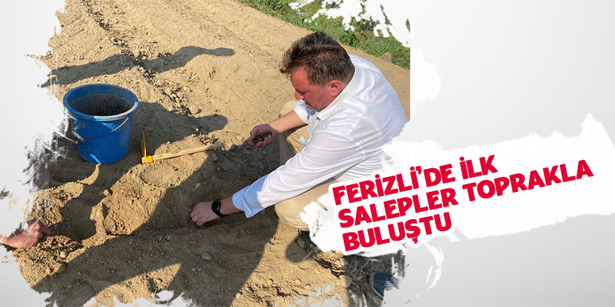 Salepler Toprakla Buluştu