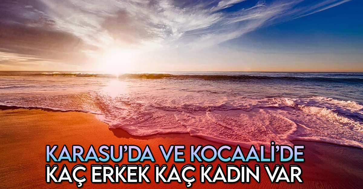 Karasu Mahalle Mahalle Açıkladı