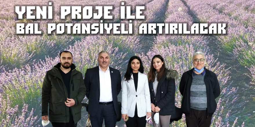 Bal Potansiyeli Artırılacak