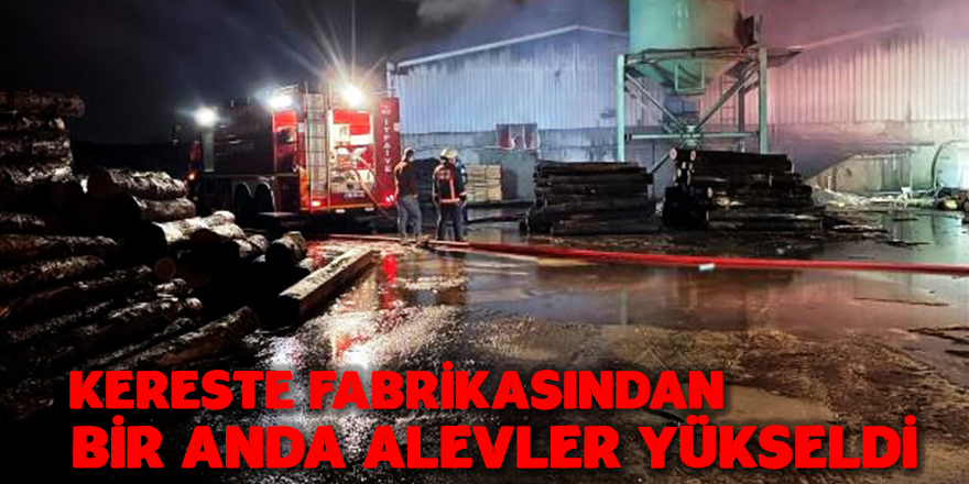 Fabrikada Yangın Çıktı