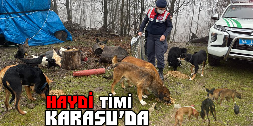 HAYDİ Timi Karasu’da