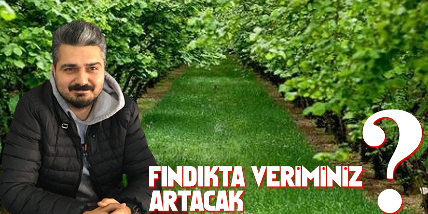 Fındıkta Veriminiz Artacak