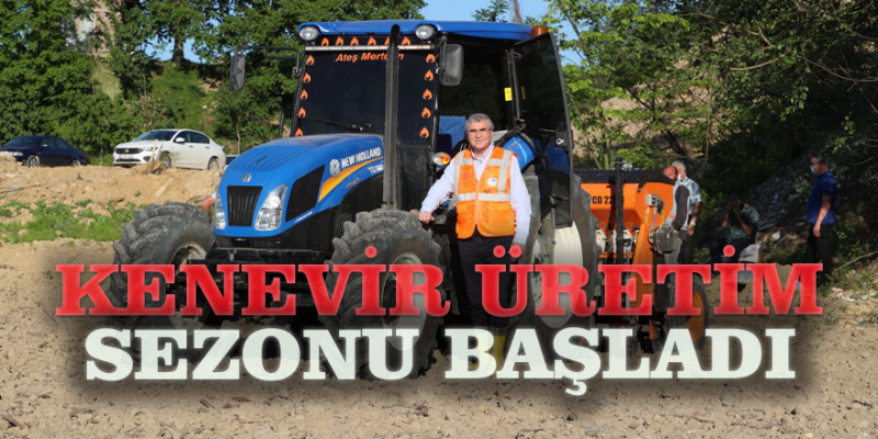 Kenevir Ekimi Başladı